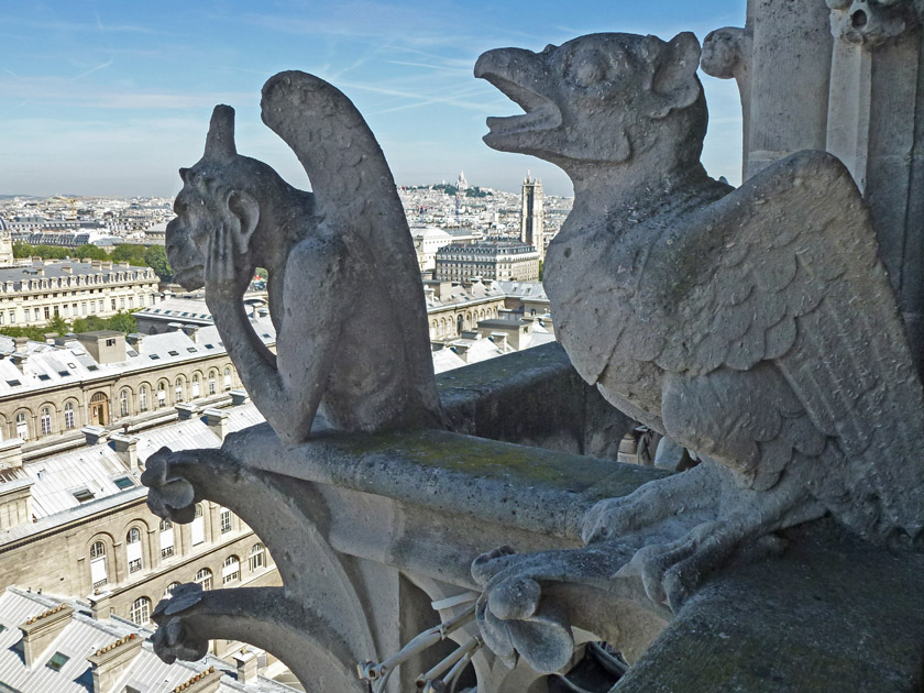 Cathédrale Notre-Dame Gargoyles