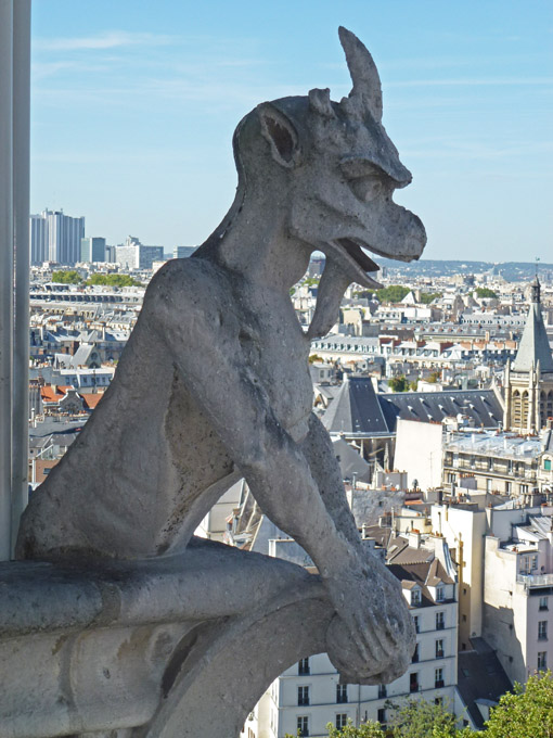 Cathédrale Notre-Dame Gargoyle