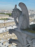 Cathédrale Notre-Dame Gargoyle