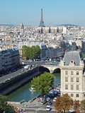 Eiffel Tower from the Top ofCathédrale Notre-Dame