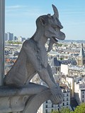 Cathédrale Notre-Dame Gargoyle