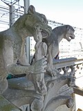 Cathédrale Notre-Dame Gargoyles