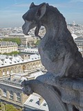 Cathédrale Notre-Dame Gargoyle