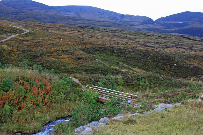 Scene from Base of Cairngorm Mountain