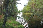 River Leading to Loch Morlich, Cairngorm Mountain