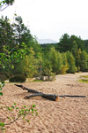 Beach at Loch Morlich, Cairngorm Mountain