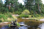 River Leading to Loch Morlich, Cairngorm Mountain