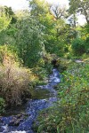 Dunvegan Castle Gardens, Dunvegan, Isle of Skye