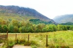 Scene From Glencoe Visitor's Center