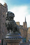 Greyfriars Bobby