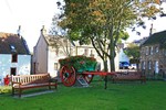 Park Scene, Falkland