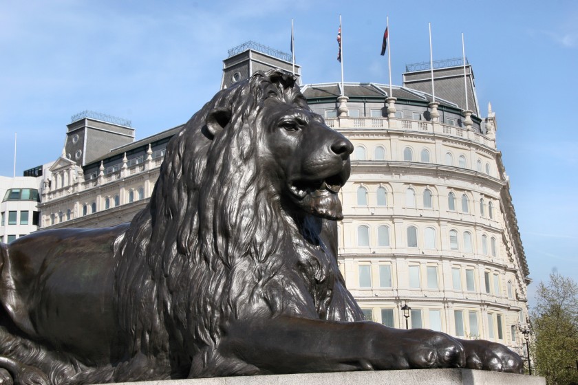 Trafalgar Square Lion