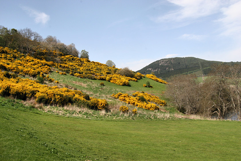 Hillside at Urquhart Castle