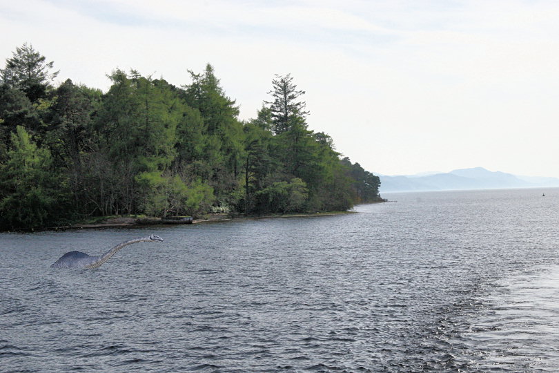 Loch Ness Resident