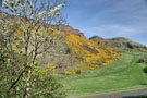 Salisbury Crags, Edinburgh