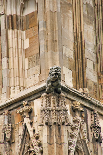 York Minster, Gargoyle Detail