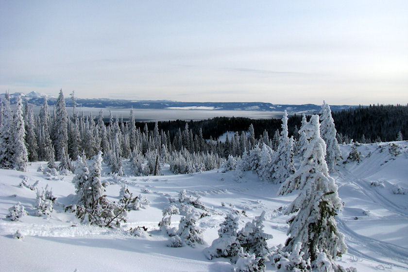 View from Mt. Two Top