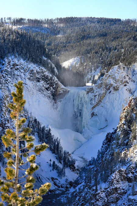 Lower Falls of the Yellowstone