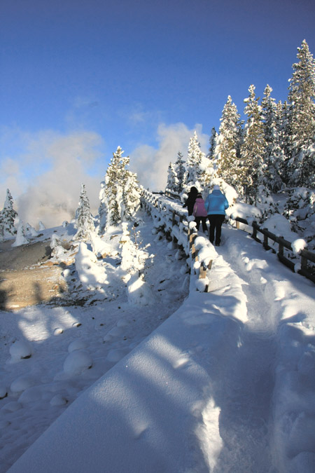 Norris Geyser Basin Boardwalk