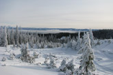 View from Mt. Two Top