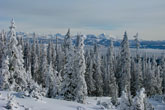 View from Mt. Two Top