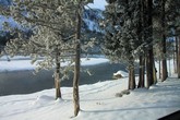 Madison River Scenery