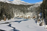 Yellowstone River Near Canyon Village