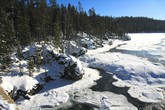 Yellowstone River Near Canyon Village