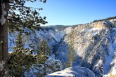 Lower Falls of the Yellowstone