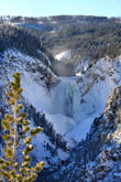 Lower Falls of the Yellowstone